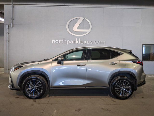 2024 Lexus NX 250