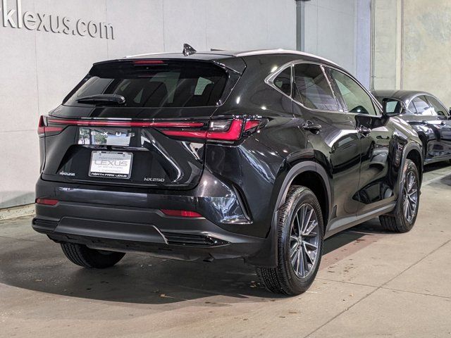 2024 Lexus NX 250