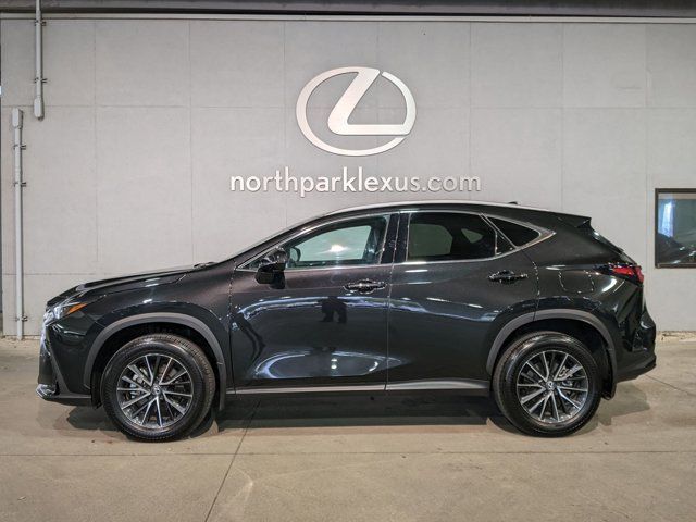 2024 Lexus NX 250