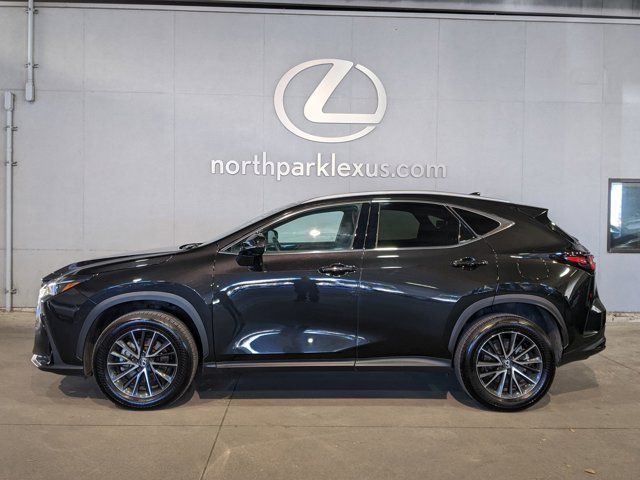 2024 Lexus NX 250