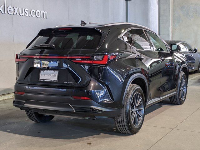 2024 Lexus NX 250