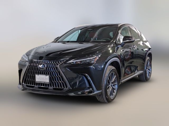 2024 Lexus NX 250