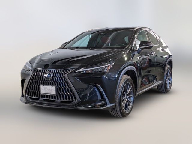 2024 Lexus NX 250