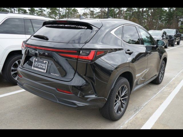 2024 Lexus NX 250