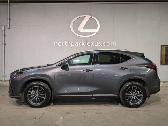 2024 Lexus NX 250