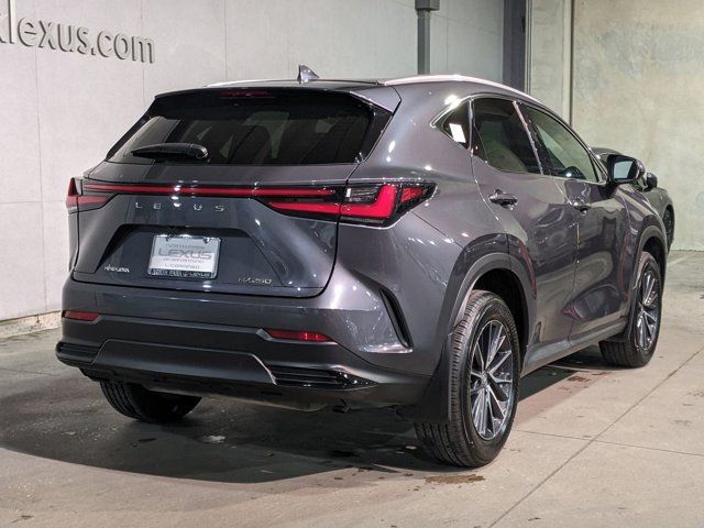 2024 Lexus NX 250