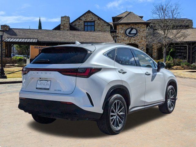 2024 Lexus NX 250