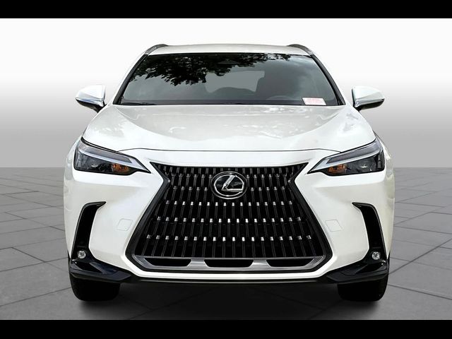 2024 Lexus NX 250