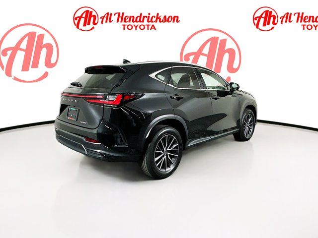 2024 Lexus NX 250 Premium