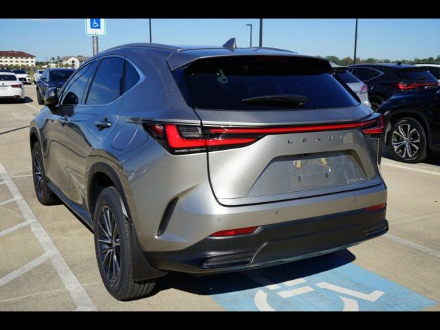 2024 Lexus NX 250 Premium