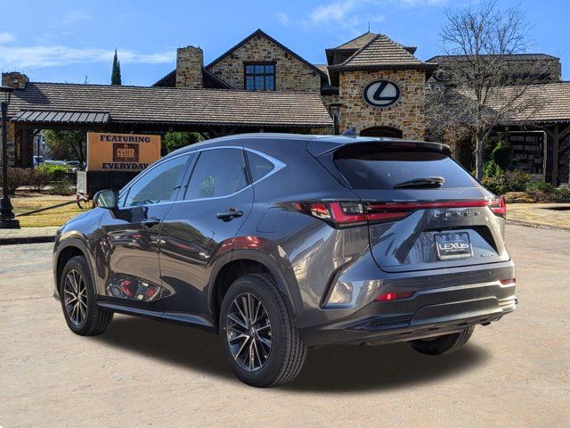 2024 Lexus NX 250 Premium