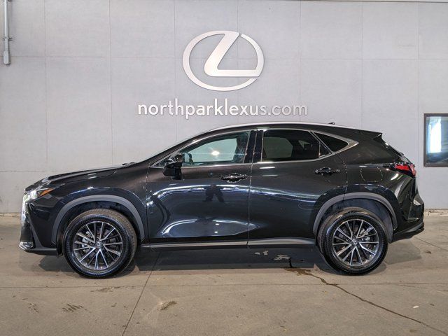 2024 Lexus NX 250 Premium