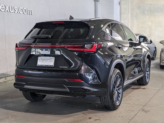 2024 Lexus NX 250 Premium