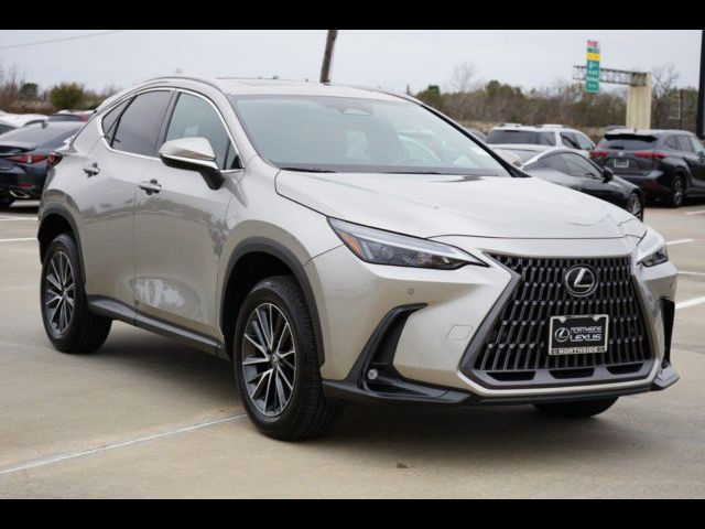 2024 Lexus NX 250 Premium