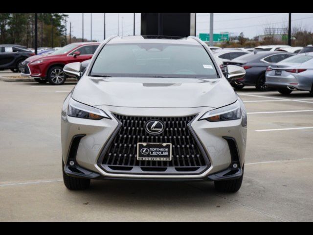 2024 Lexus NX 250 Premium