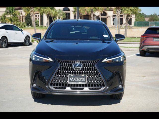 2024 Lexus NX 250 Premium