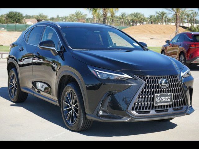 2024 Lexus NX 250 Premium