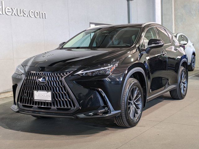 2024 Lexus NX 250 Premium