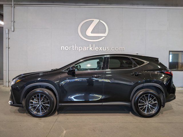 2024 Lexus NX 250 Premium