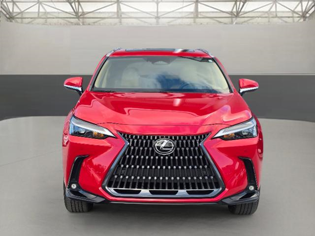 2024 Lexus NX 250 Premium