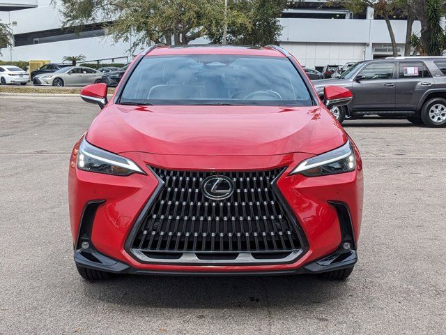 2024 Lexus NX 250 Premium