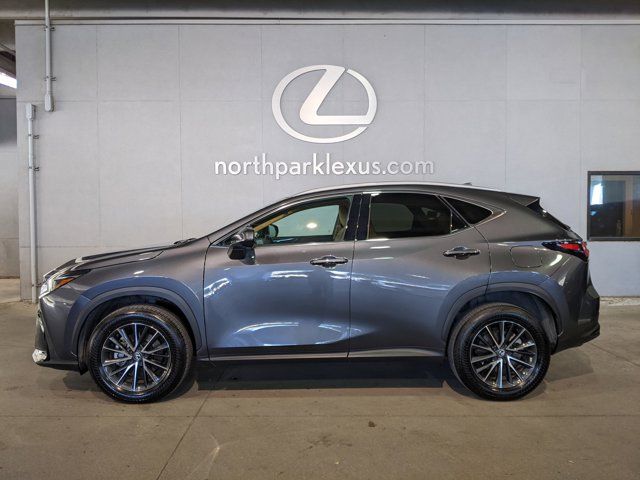 2024 Lexus NX 250 Premium