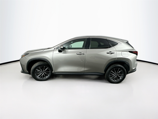 2024 Lexus NX 250 Premium