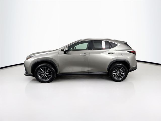 2024 Lexus NX 250 Premium