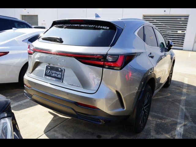 2024 Lexus NX 250 Premium