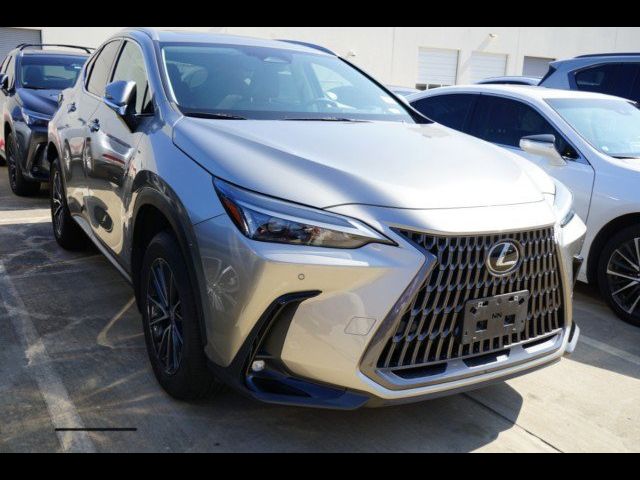 2024 Lexus NX 250 Premium