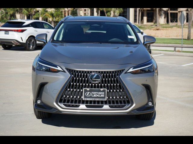 2024 Lexus NX 250 Premium