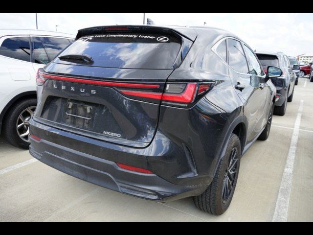 2024 Lexus NX 250 Premium