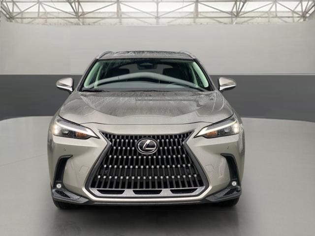 2024 Lexus NX 250 Premium