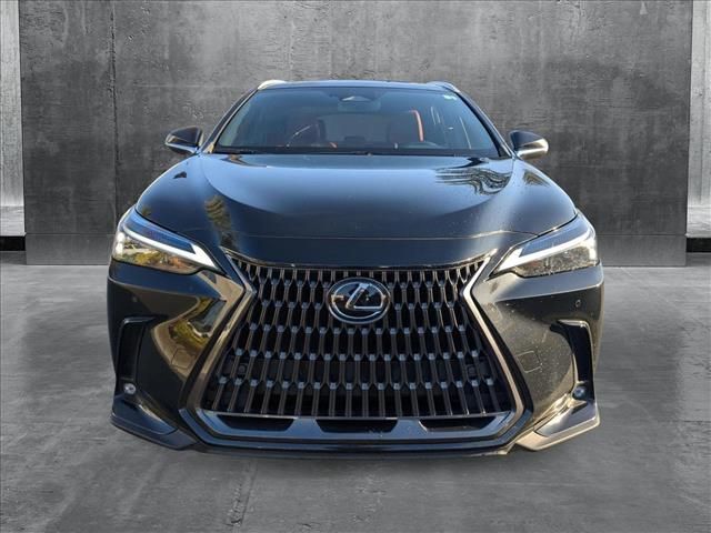 2024 Lexus NX 250 Premium