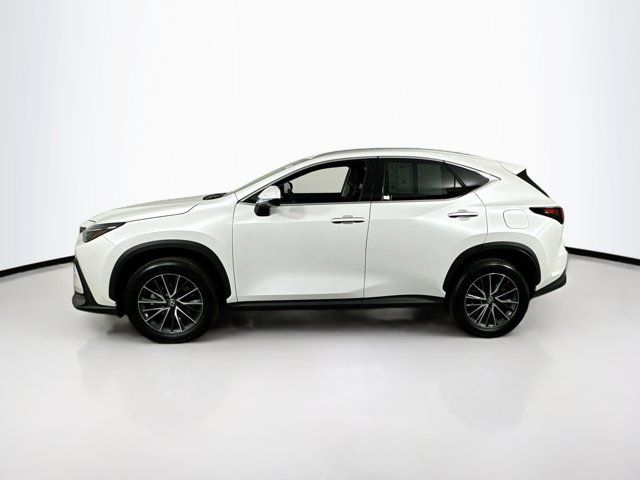 2024 Lexus NX 250 Premium