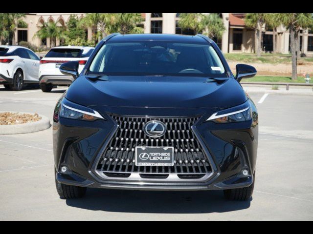 2024 Lexus NX 250 Premium