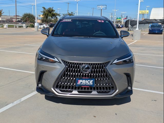 2024 Lexus NX 250 Premium