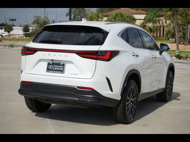 2024 Lexus NX 250 Premium