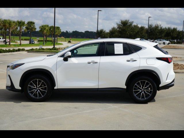 2024 Lexus NX 250 Premium