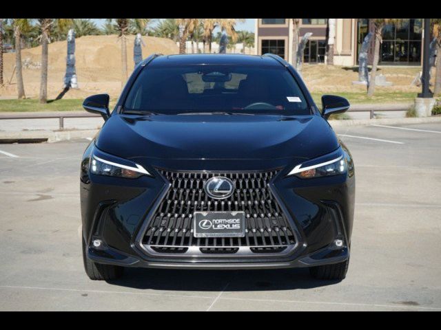 2024 Lexus NX 250 Premium