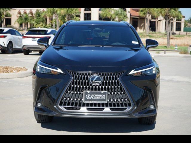 2024 Lexus NX 250 Premium