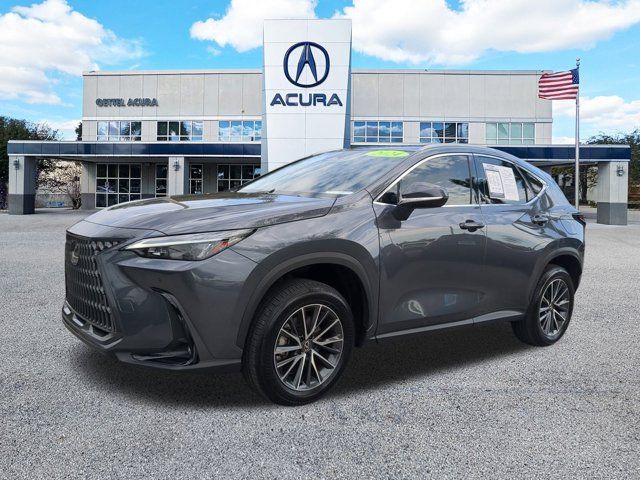 2024 Lexus NX 250 Premium