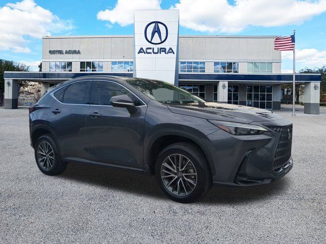 2024 Lexus NX 250 Premium