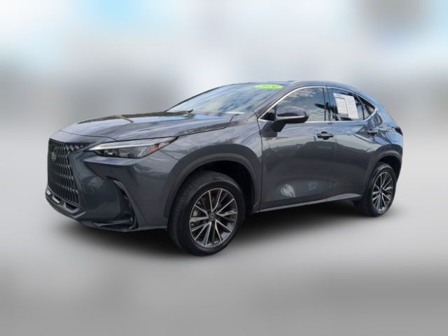 2024 Lexus NX 250 Premium