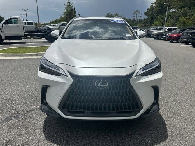 2024 Lexus NX 250 Premium