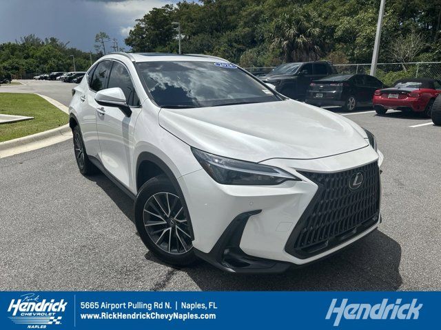 2024 Lexus NX 250 Premium