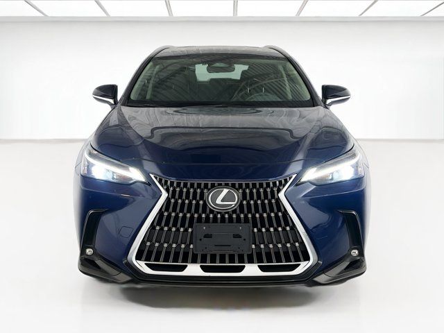 2024 Lexus NX 350
