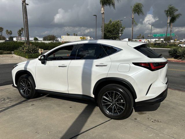 2024 Lexus NX 350