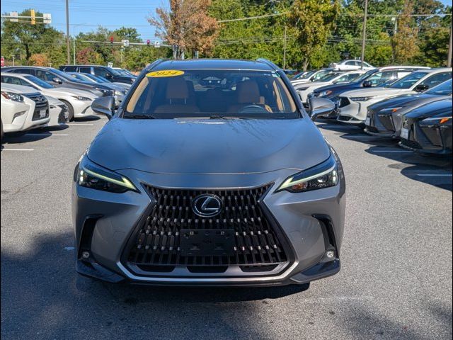 2024 Lexus NX 350