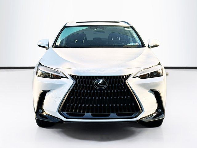 2024 Lexus NX 350